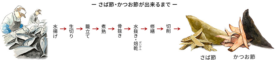 ー さば節・かつお節が出来るまで ー